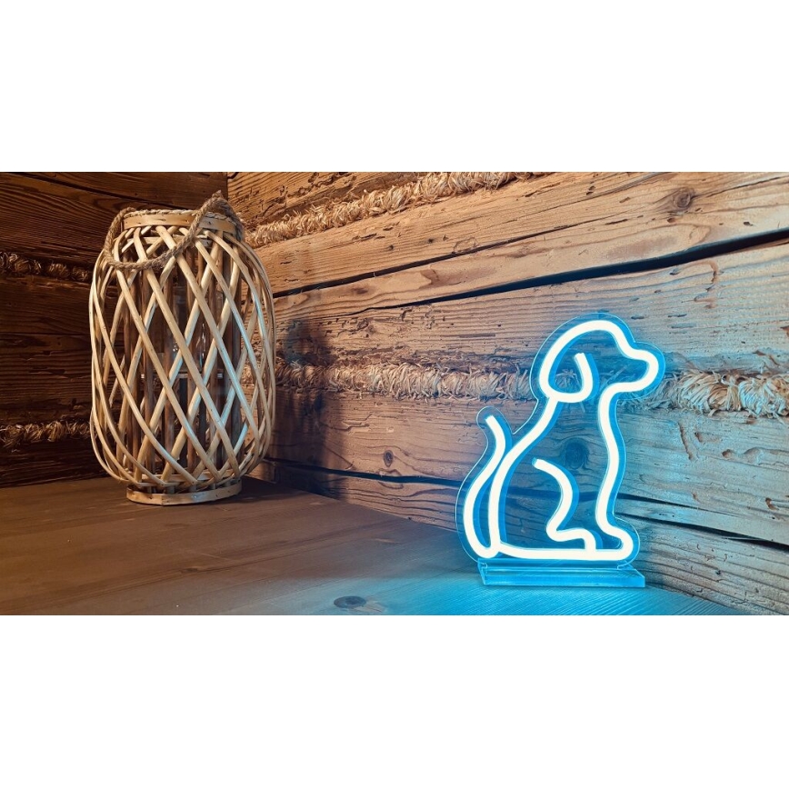 2Kids Toys - Decoração de mesa LED Neon Cão LED/5W/USB
