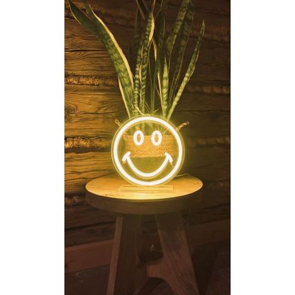2Kids Toys - Decoração de mesa LED Neon LED/5W/USB sorriso