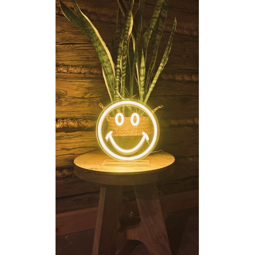 2Kids Toys - Decoração de mesa LED Neon LED/5W/USB sorriso
