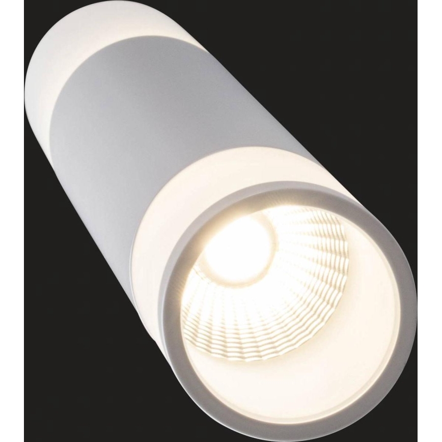 AEG - Candelabro suspenso LED com regulação ABBY LED/10W/230V