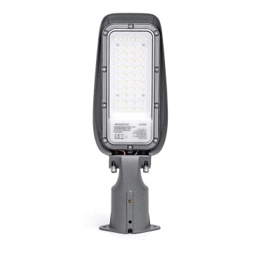 Aigostar - Candeeiro de rua LED LED/30W/230V 6500K IP65