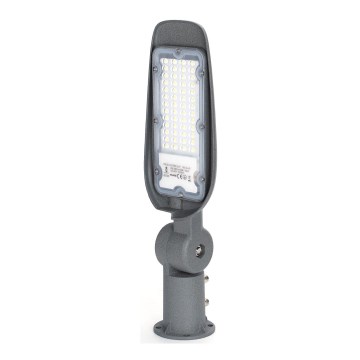 Aigostar - Candeeiro público LED LED/30W/230V 6500K IP65