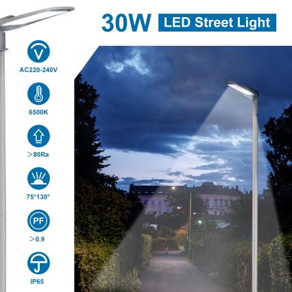 Aigostar - Candeeiro público LED LED/30W/230V 6500K IP65