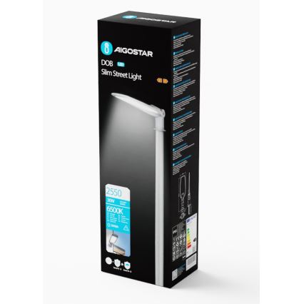 Aigostar - Candeeiro público LED LED/30W/230V 6500K IP65