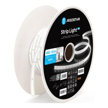 Aigostar - Fita LED LED/250W/230V 50m 6500K IP65