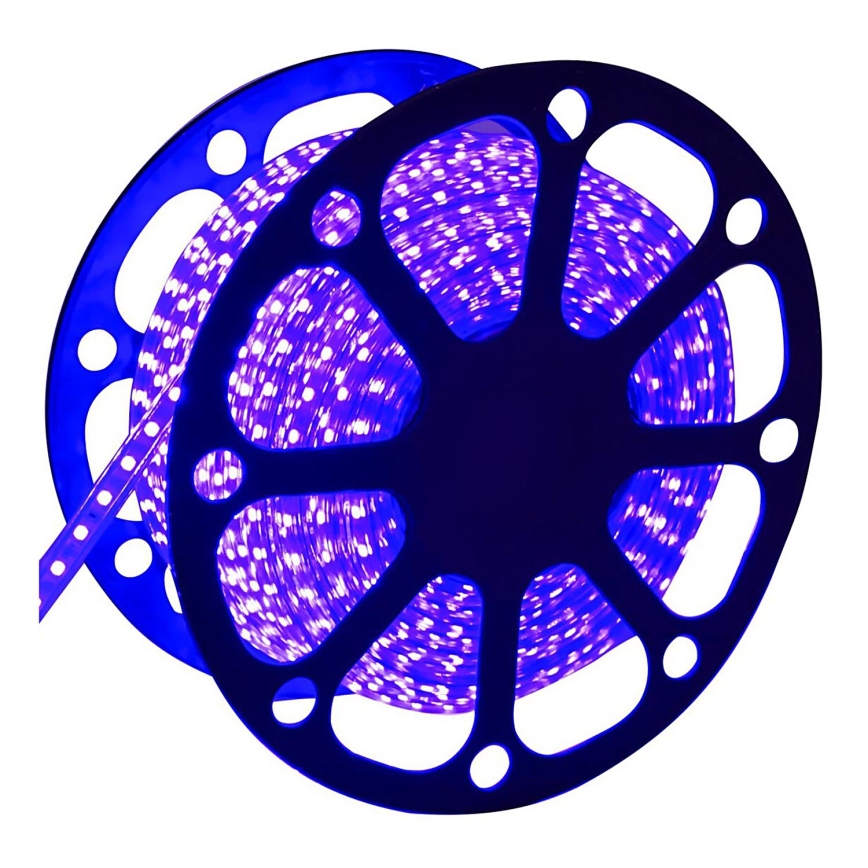 Aigostar - Fita LED para exterior 50m LED/300W/230V azul IP65