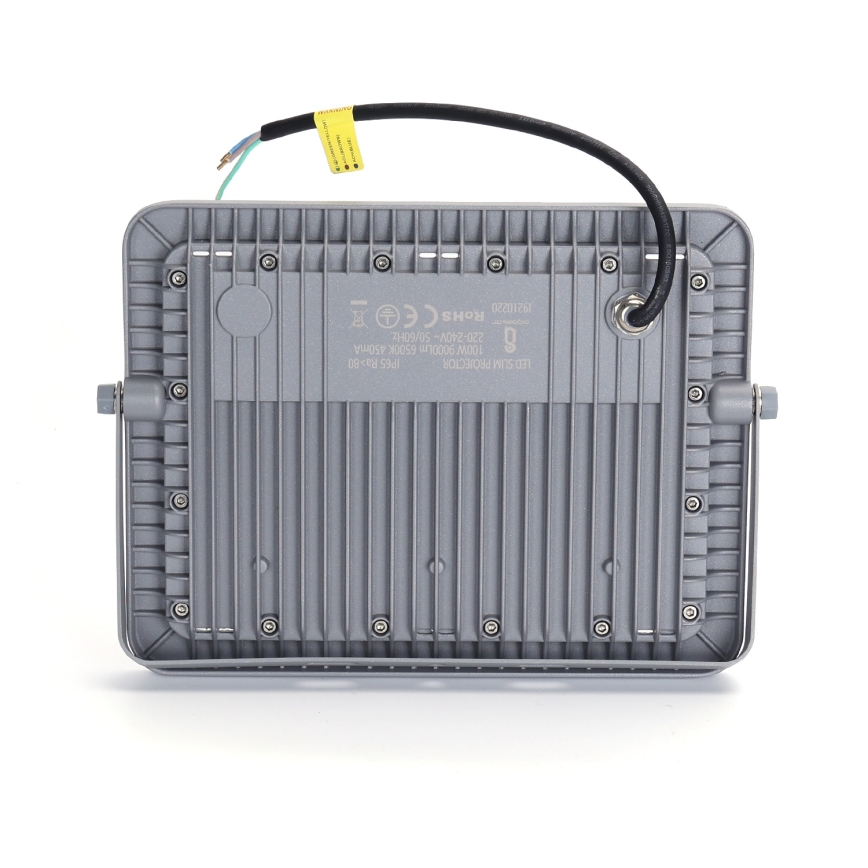 Aigostar - Holofote LED LED/100W/230V cinzento 6500K IP65