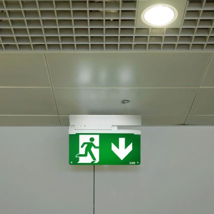 Aigostar - Iluminação de emergência LED EMERGENCY EXIT LED/3,6W/230V 6500K 500mAh