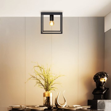 Aigostar - Iluminação de teto 1xE27/40W/230V preto