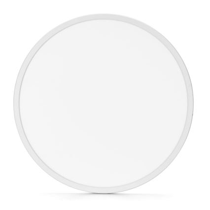 Aigostar - Iluminação de teto de casa de banho LED LED/40W/230V 6500K diâmetro 54 cm IP44