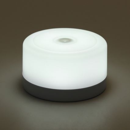 Aigostar - Iluminação portátil de noite com regulação LED LED/1W/5V 6500K+ USB