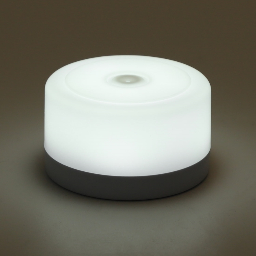 Aigostar - Iluminação portátil de noite com regulação LED LED/1W/5V 6500K+ USB