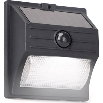 Aigostar - Luminária Solar LED com Sensor LED/3,7V 6500K 500 mAh IP65 Preta