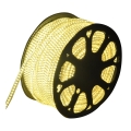 Aigostar - Tira exterior LED 50m LED/350W/230V 3000K IP65