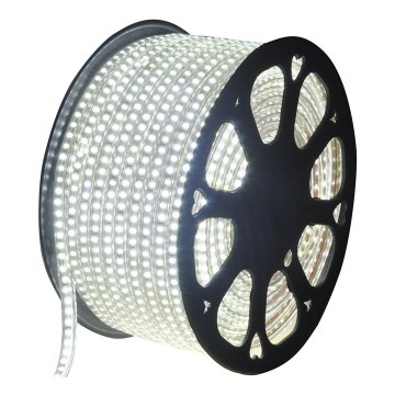 Aigostar - Tira exterior LED 50m LED/350W/230V 6500K IP65