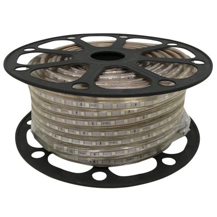 Aigostar - Tira LED 50m LED/300W/230V IP65 verde
