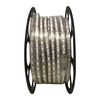 Aigostar - Tira LED 50m LED/300W/230V IP65 verde