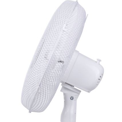 Aigostar - Ventoinha de chão 40W/230V 120 cm branco