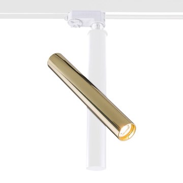 Amplex - Foco para sistema de carril 1xGU10-MR11/15W/230V branco/latão