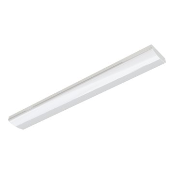 APLED - Iluminação fluorescente LED EeL LED/31W/230V 4112lm