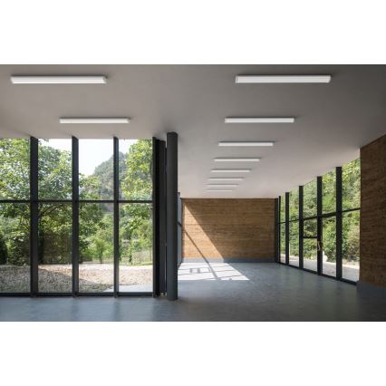 APLED - LED Iluminação integrada TROUT LED/36W/230V 4000K + emergência