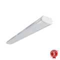 APLED - LED Iluminação integrada TROUT LED/72W/230V 4000K