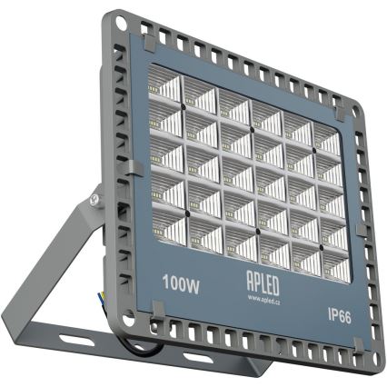 APLED - Luz de inundação LED de exterior PRO LED/100W/230V IP66 10000lm 6000K