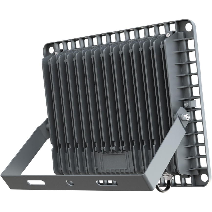 APLED - Luz de inundação LED de exterior PRO LED/100W/230V IP66 10000lm 6000K