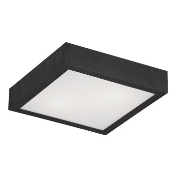Argon 0723 - Luz de teto TEQUILA BIS 2xE27/60W/230V