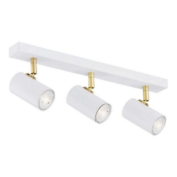 Argon 1475 - Foco LAGOS 3xGU10/5W/230V branco/dourado