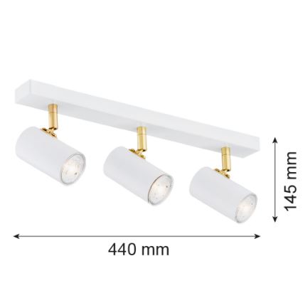 Argon 1475 - Foco LAGOS 3xGU10/5W/230V branco/dourado