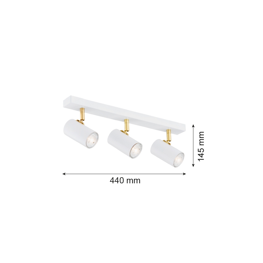 Argon 1475 - Foco LAGOS 3xGU10/5W/230V branco/dourado