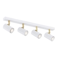 Argon 1689 - Foco LAGOS 4xGU10/5W/230V branco/dourado