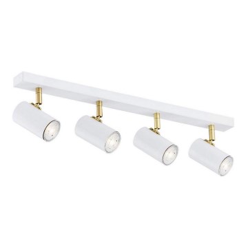 Argon 1689 - Foco LAGOS 4xGU10/5W/230V branco/dourado