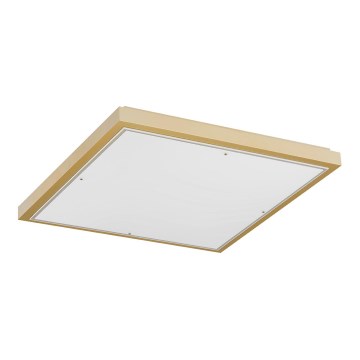 Argon 1816 - Iluminação de teto CARLSON 4xE27/15W/230V 60x60 cm dourada
