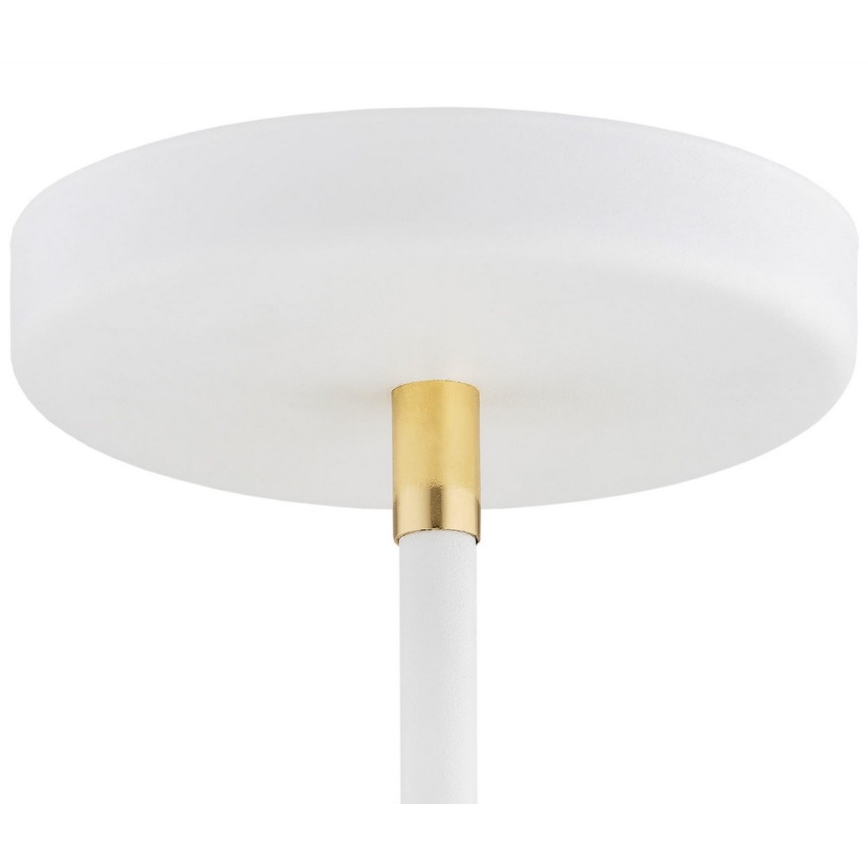 Argon 2551 - Candelabro suspenso AVALONE 6xE27/15W/230V branco/dourado
