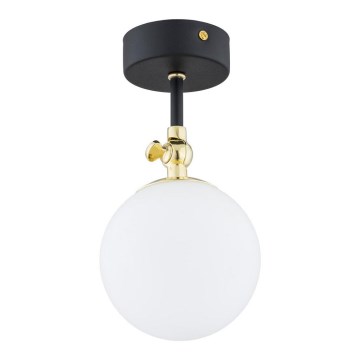 Argon 4003 - Candelabro integrado de casa de banho LATINA 1xE14/7W/230V IP44 preto/latão