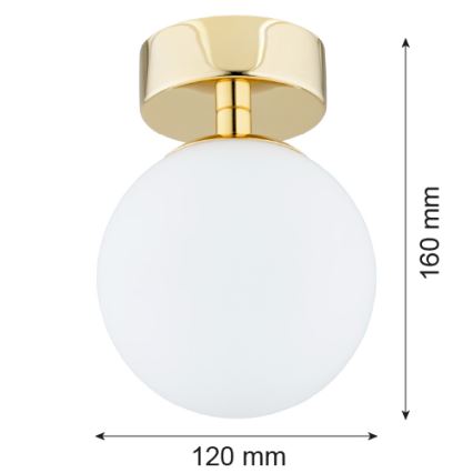 Argon 4004 - Iluminação de teto FLAVIO 1xE14/7W/230V