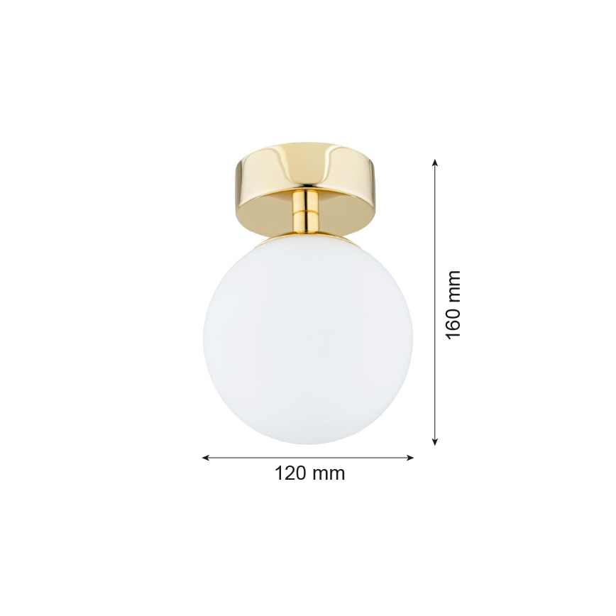Argon 4004 - Iluminação de teto FLAVIO 1xE14/7W/230V