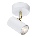 Argon 4209 - Foco de teto LAGOS 1xGU10/5W/230V branco/dourado