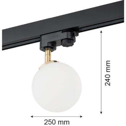 Argon 4307 - Foco para sistema de carril BANG 1xG9/6W/230V latão