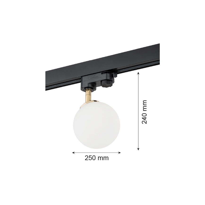 Argon 4307 - Foco para sistema de carril BANG 1xG9/6W/230V latão
