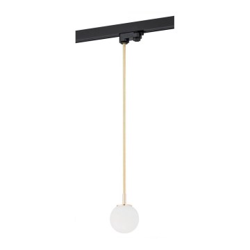 Argon 4308 - Candelabro suspenso para sistema de carril BANG 1xG9/6W/230V latão
