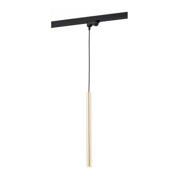 Argon 4319 - Candeeiro suspenso LED em sistema de carril ELBRUS LED/4,5W/230V latão