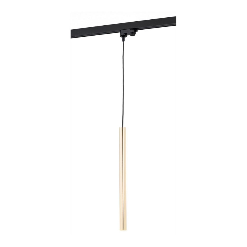 Argon 4319 - Candeeiro suspenso LED em sistema de carril ELBRUS LED/4,5W/230V latão