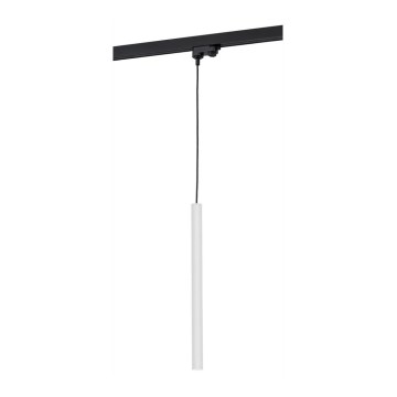 Argon 4330 - Candeeiro suspenso LED para sistema de carril ELBRUS LED/4,5W/230V branco