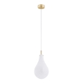 Argon 4696 - Candelabro suspenso OAKLAND 1xG9/6W/230V