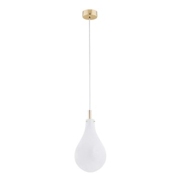 Argon 4696 - Candelabro suspenso OAKLAND 1xG9/6W/230V