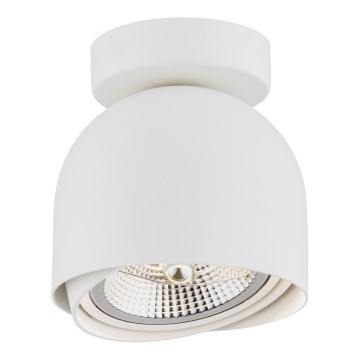 Argon 4710 - Foco GARLAND 1xGU10-AR111/12W/230V branco