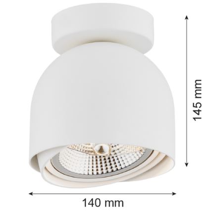 Argon 4710 - Foco GARLAND 1xGU10-AR111/12W/230V branco